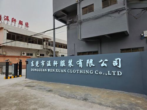 About our Wenxuan Clothing
