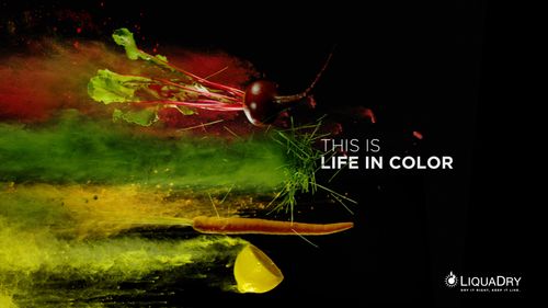 Bio-Available Powders | LiquaDry’s Premium Botanical Juice Powders