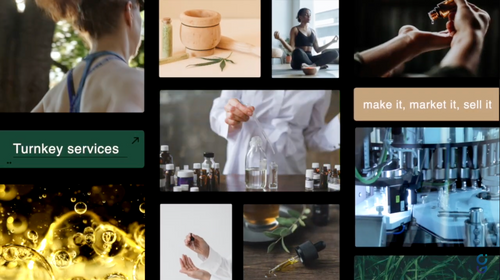 We Are Orsus Therapeutics