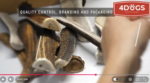 TNC PETS - From Naturally Shed Antlers to Premium Dog Chews