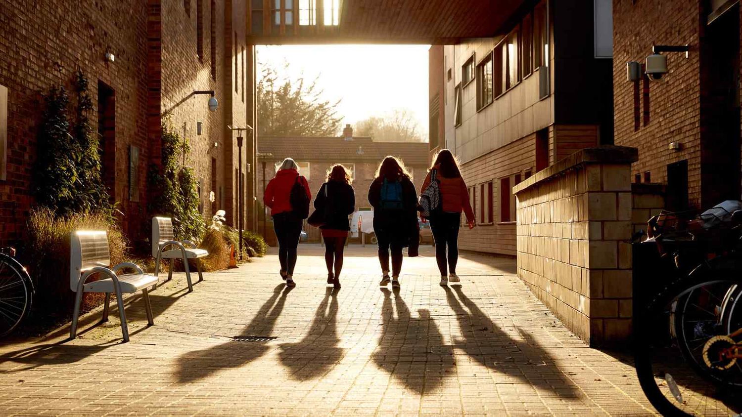 York St John University
