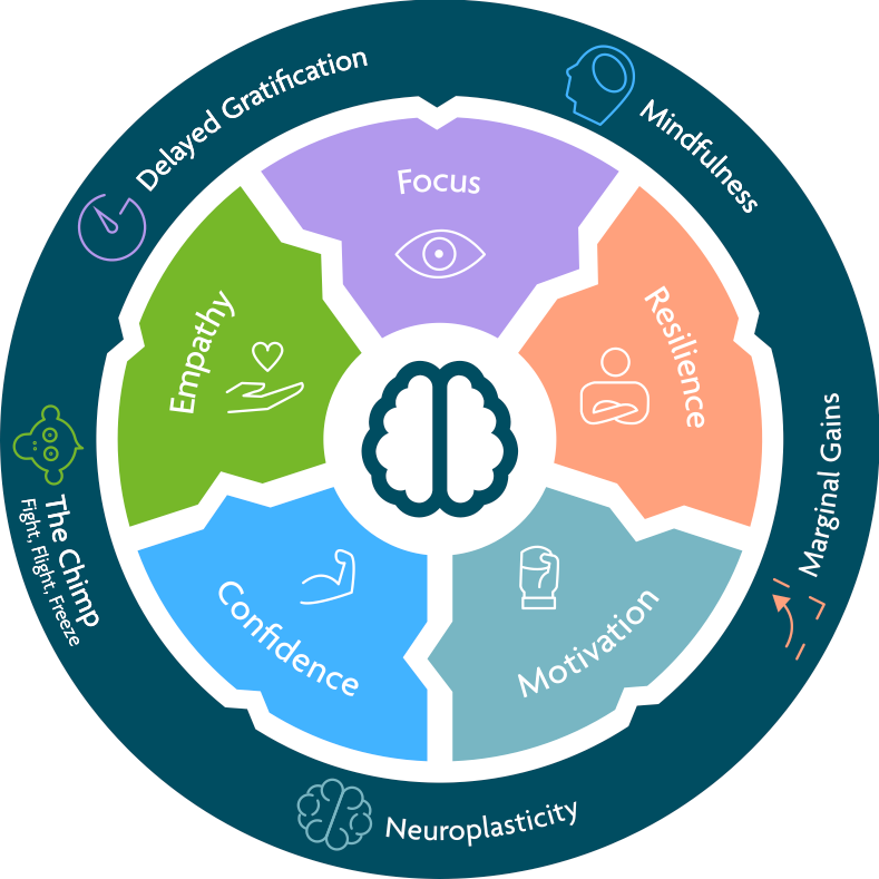The Mindset Development Group