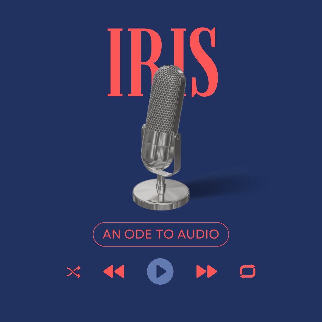 An ode to audio The Business Show 2024