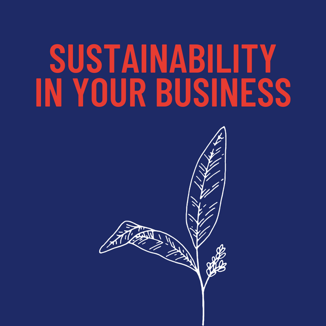 Sustainability in your Business