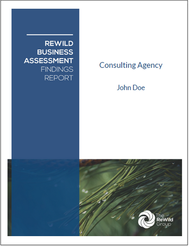 ReWild Business Assessment (RBA)