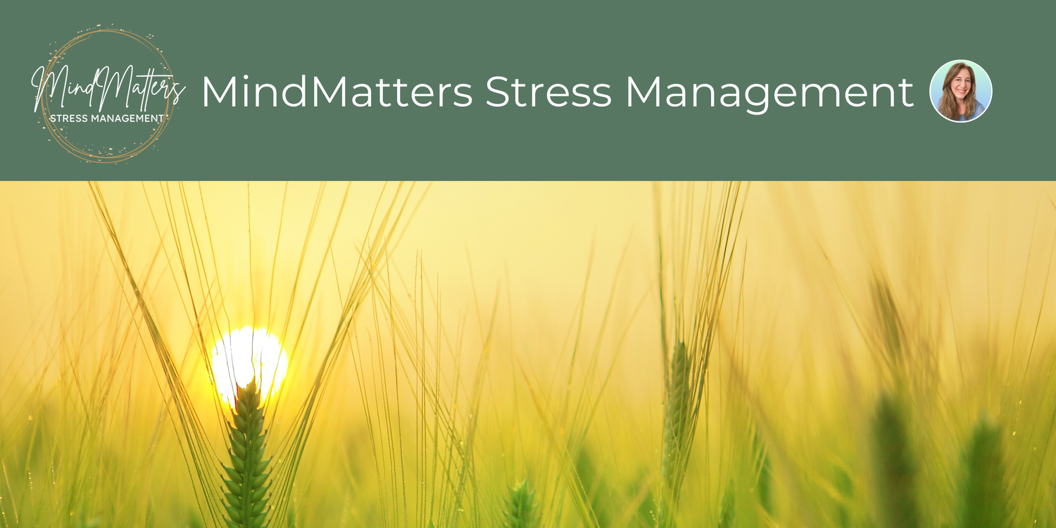 MindMatters Stress Management