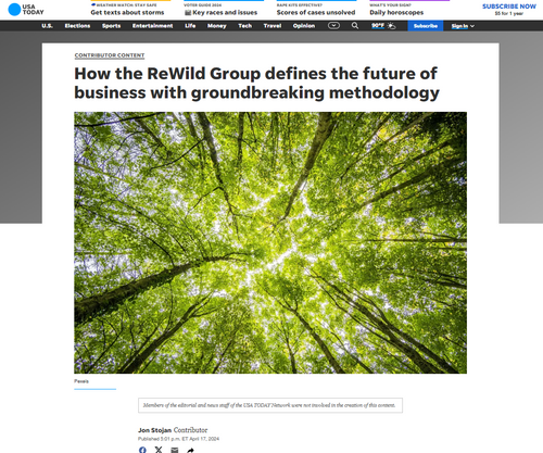 How the ReWild Group defines the future of business with groundbreaking methodology