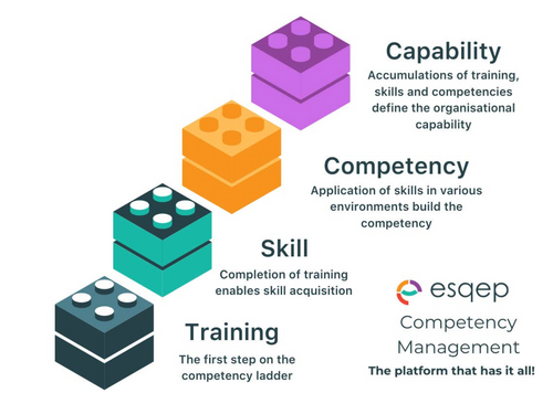 Workforce competencies and capabilities – What sets them apart?