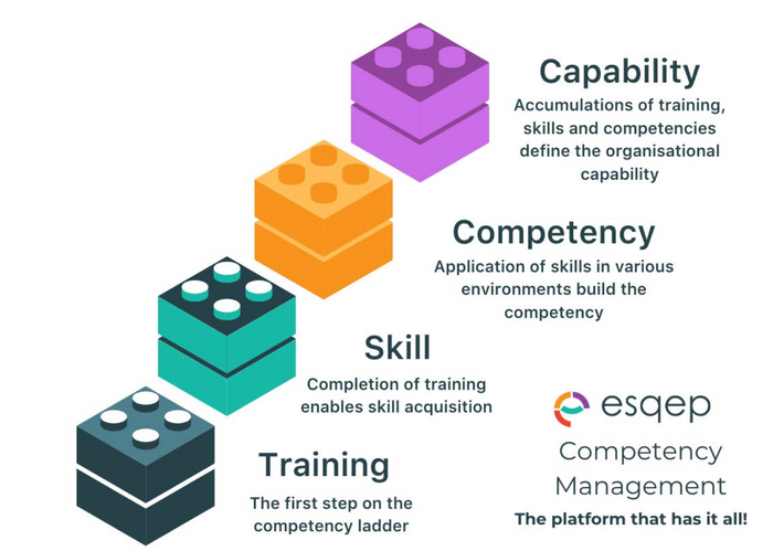 Workforce competencies and capabilities – What sets them apart?