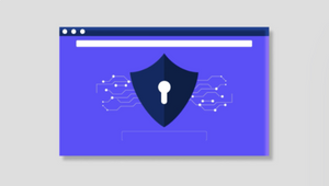 Secure Independent Code Vaults