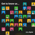 WEBSITE DESIGN & DEVELOPMENT