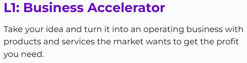 L1: Business Accelerator