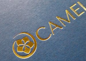 Foil Blocking