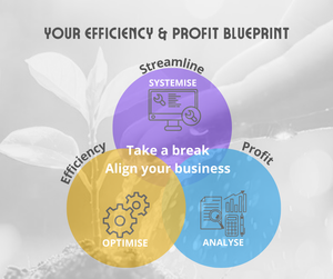 Business Advisory