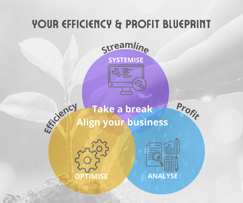 Business Advisory