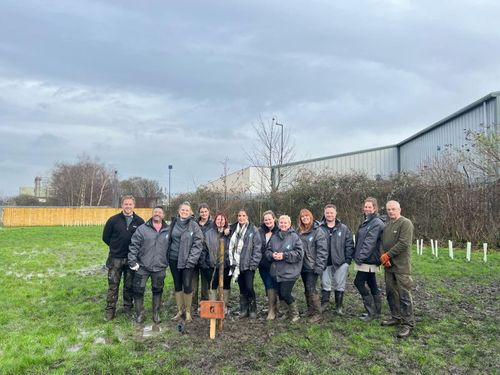 Tree Planting Days