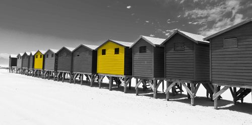 Franchise Opportunity