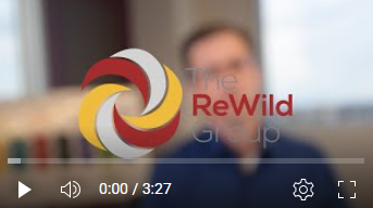 Story of Organizational ReWilding