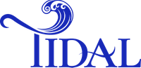 Company name - Tidal Global