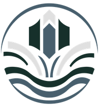 Company name - MUSE CYBER LTD