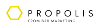 Company name - B2B Marketing, Inc.