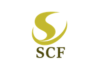Company name - TRICORE CONSULTING LTD