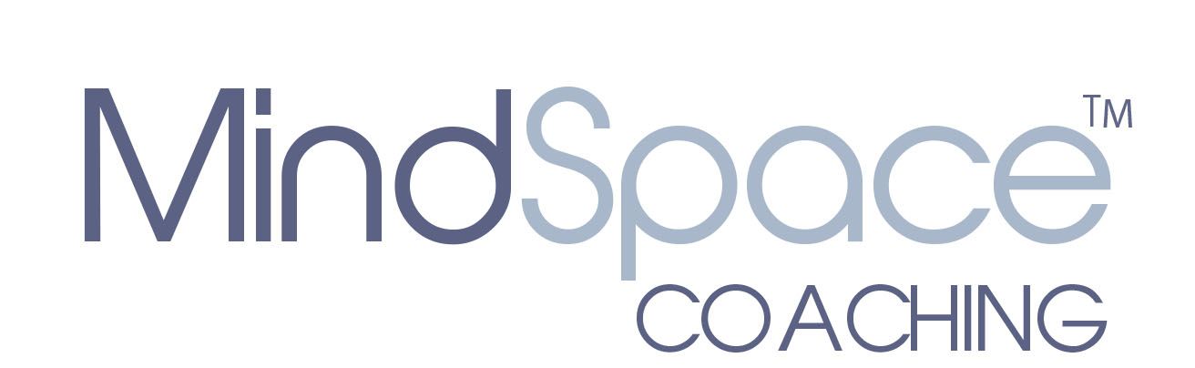 MindSpace Business Coaching
