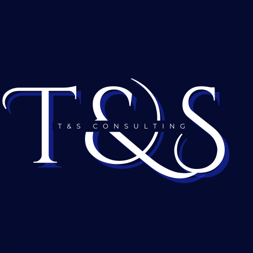 T&S Consulting: Making AI work for you