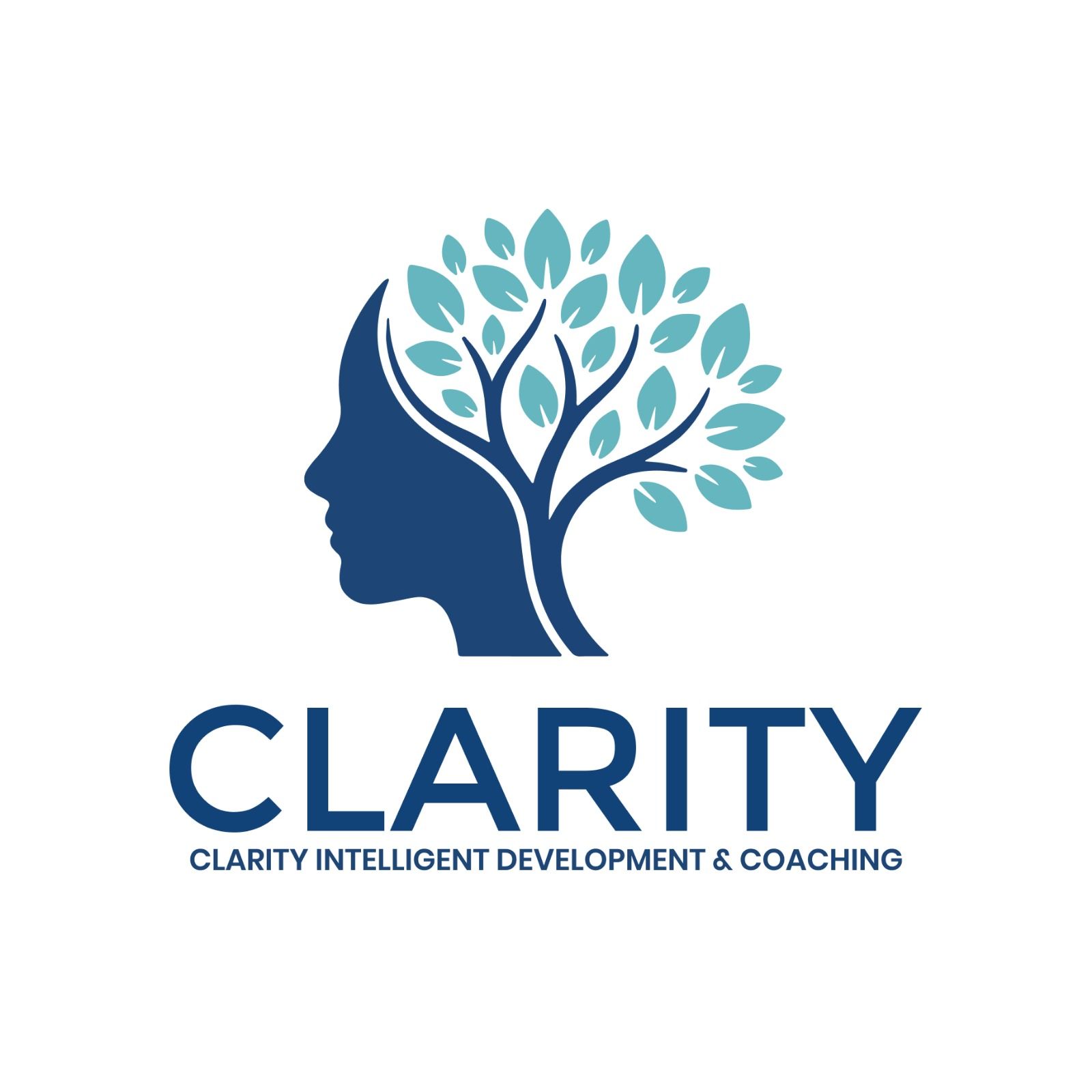 Clarity Intelligent Development