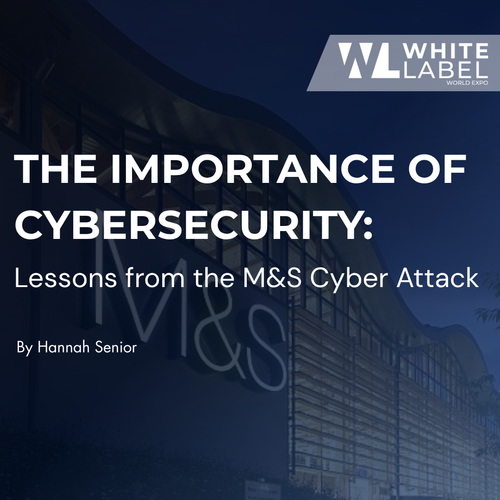 The Importance of Cybersecurity: Lessons from the M&S Cyber Attack