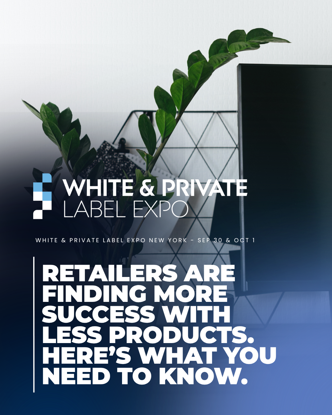 Retailers are finding more success with less products. Here’s what you need to know.