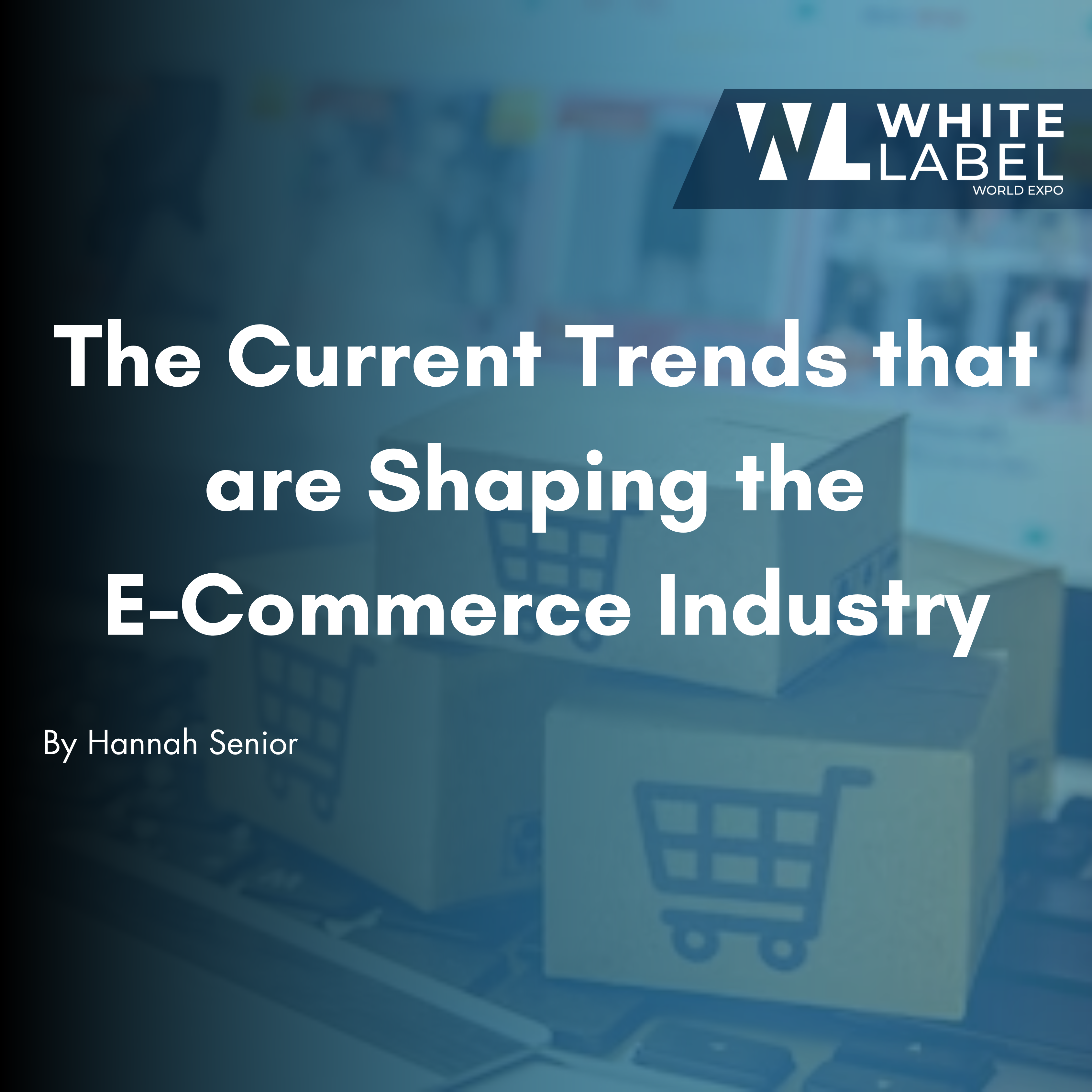 The Current Trends that are Shaping the E-Commerce Industry