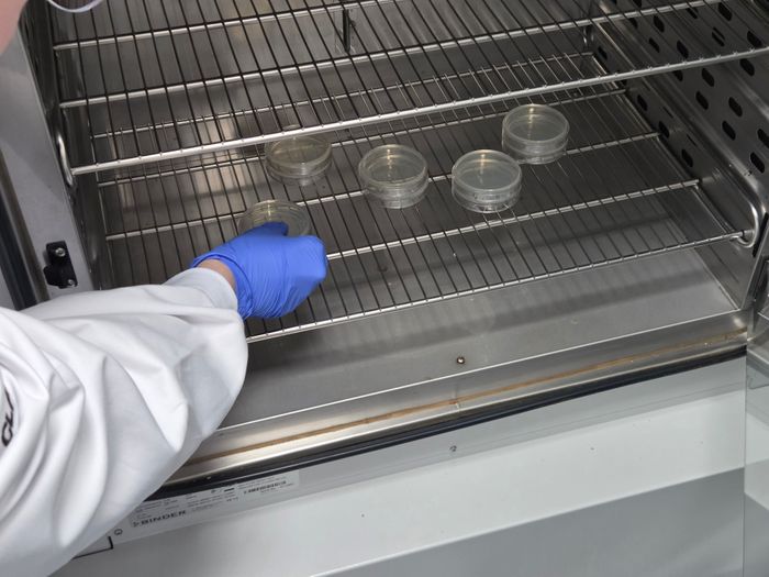 Probiotic Stability and Shelf-Life Testing