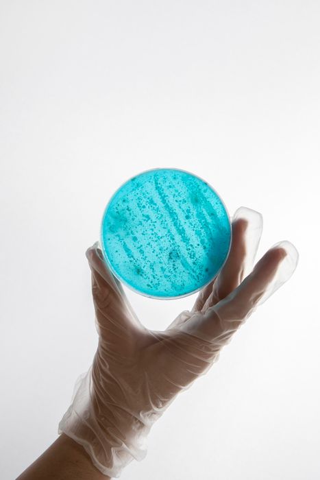 Probiotic Stability and Shelf-Life Testing