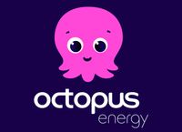 Company name - Octopus Energy For Business