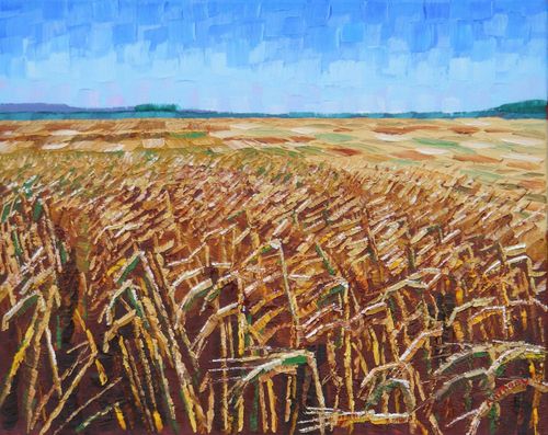 Wheat Fields 2017