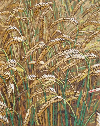 Ears of Wheat 2017