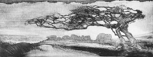 coombestone tor - dartmoor . etching