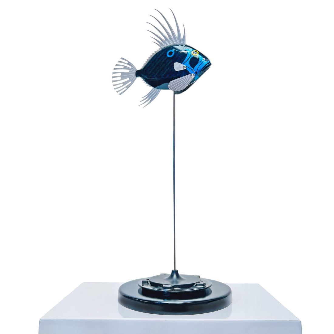 Baby Dory (4 colours)