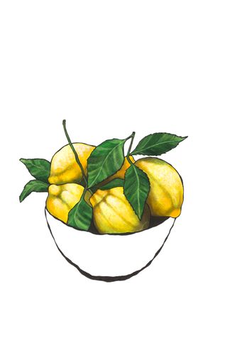 Bowl of Lemons