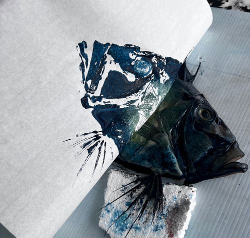 Printing John Dory