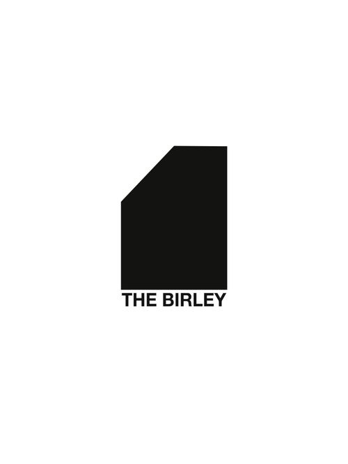 The Birley Studios