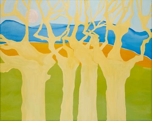 Plane Trees in Winter