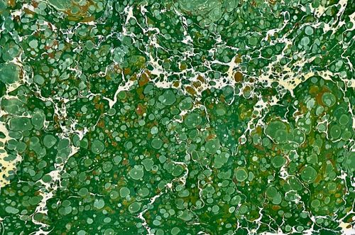 The River of Time, The Mark of Home — A Window to the Forest