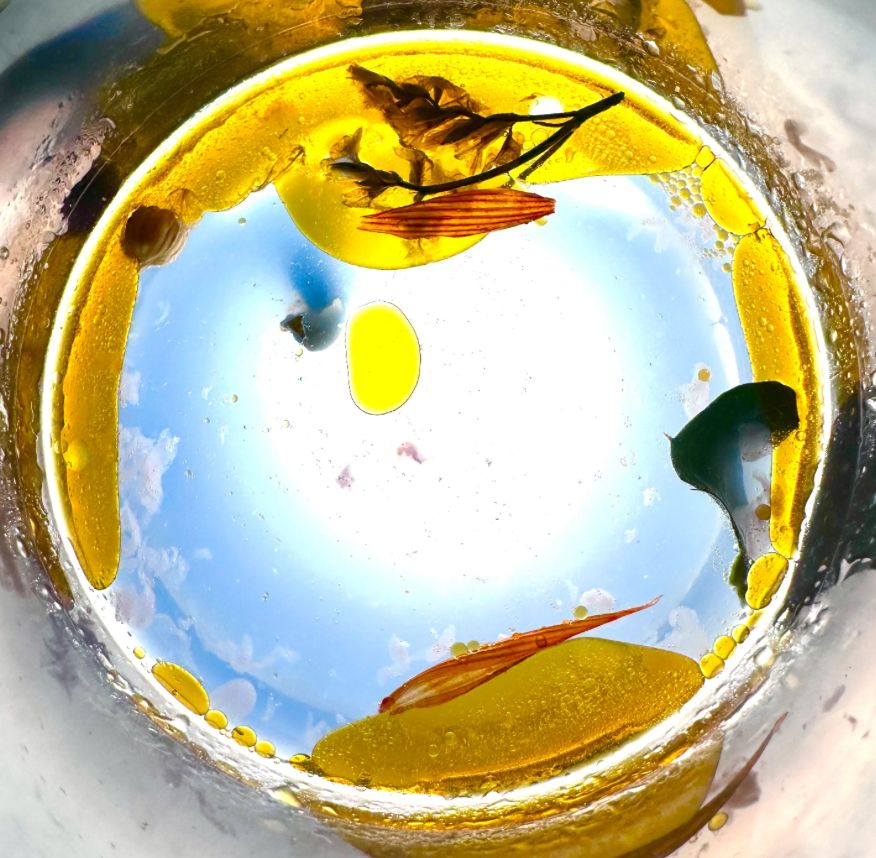 Little Worlds (Stand 519)