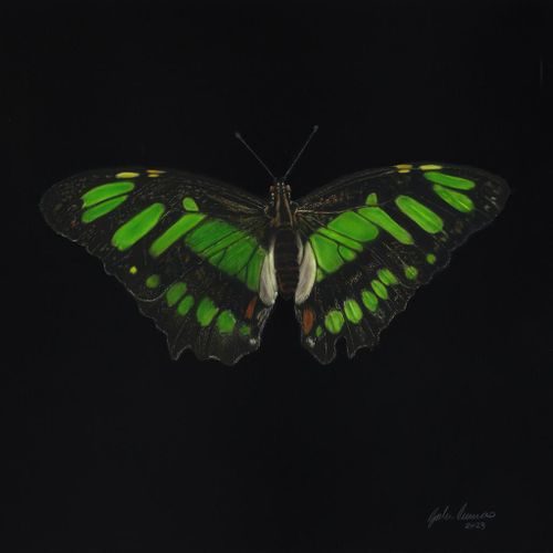 Malachite by Gordon Corrins