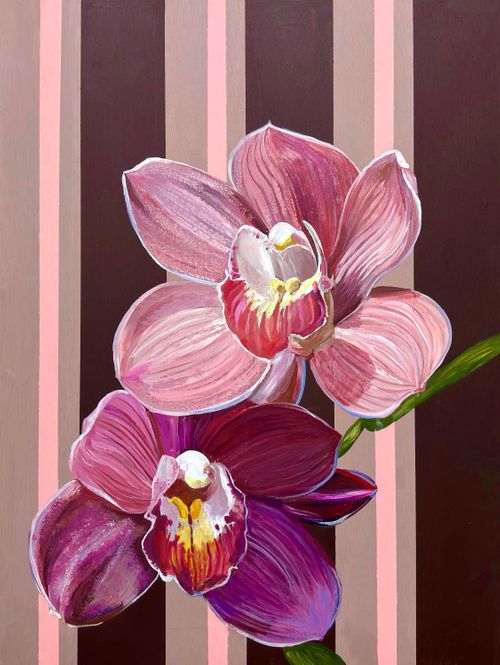 Cocoa Orchid