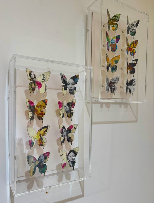 Urban Geisha Butterflies