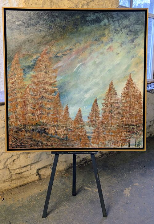 Japanese Larch, Macclesfield Forest