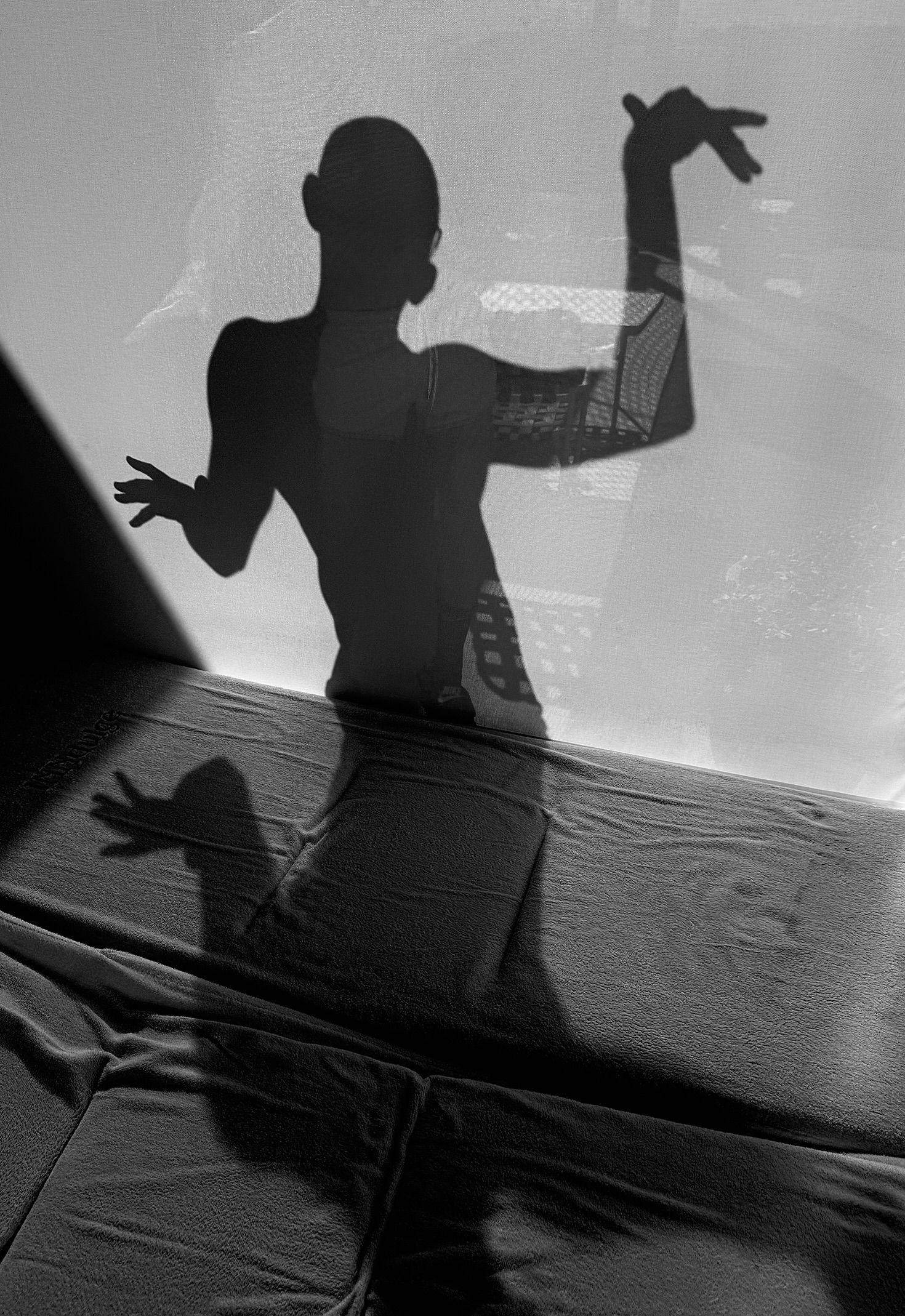 Palm Springs (Silhouette), 2025